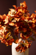 Afbeelding in Gallery-weergave laden, PTMD - Garden Flower Orange Bougainvillea stem