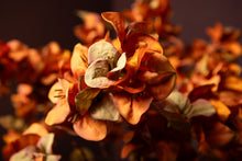 Afbeelding in Gallery-weergave laden, PTMD - Garden Flower Orange Bougainvillea stem