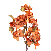 Afbeelding in Gallery-weergave laden, PTMD - Garden Flower Orange Bougainvillea stem