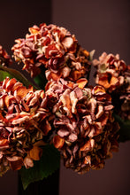 Afbeelding in Gallery-weergave laden, PTMD - Hydrangea Flower Rust hydrangea stem large