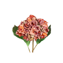 Afbeelding in Gallery-weergave laden, PTMD - Hydrangea Flower Rust hydrangea stem large