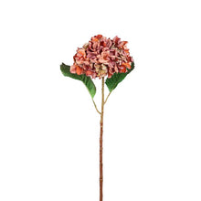 Afbeelding in Gallery-weergave laden, PTMD - Hydrangea Flower Rust hydrangea stem large