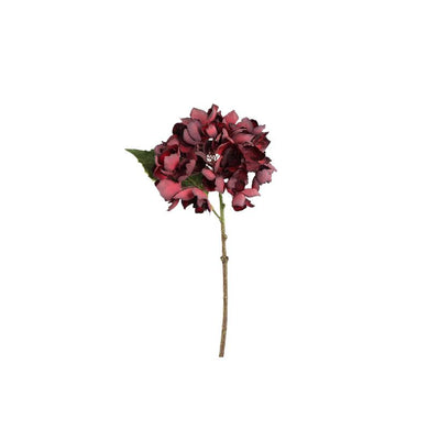 PTMD - Hydrangea Flower Burgundy hydrangea stem small