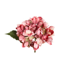 Afbeelding in Gallery-weergave laden, PTMD - Hydrangea Flower hydrangea stem small