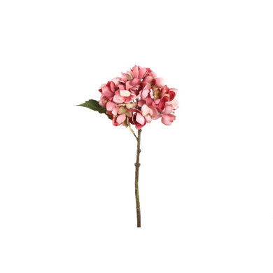PTMD - Hydrangea Flower Pink hydrangea stem small