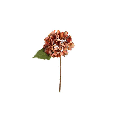 PTMD - Hydrangea Flower Rust hydrangea stem small