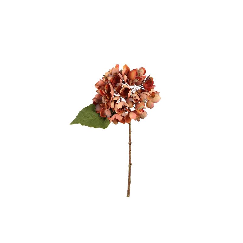 PTMD - Hydrangea Flower Rust hydrangea stem small