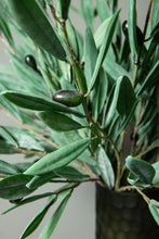 Afbeelding in Gallery-weergave laden, PTMD - Leaves Plant green olive leaves spray small