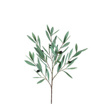 Afbeelding in Gallery-weergave laden, PTMD - Leaves Plant green olive leaves spray small