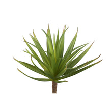 Afbeelding in Gallery-weergave laden, PTMD - Succulent Plant yucca pick