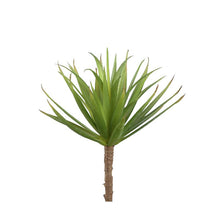 Afbeelding in Gallery-weergave laden, PTMD - Succulent Plant yucca pick