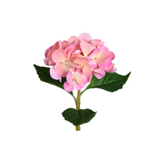 Afbeelding in Gallery-weergave laden, PTMD - Hydrangea Flower hydrangea stem