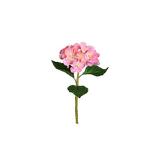 Afbeelding in Gallery-weergave laden, PTMD - Hydrangea Flower hydrangea stem