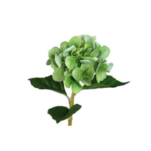 Afbeelding in Gallery-weergave laden, PTMD - Hydrangea Flower hydrangea stem