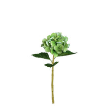 Afbeelding in Gallery-weergave laden, PTMD - Hydrangea Flower hydrangea stem