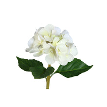 Afbeelding in Gallery-weergave laden, PTMD - Hydrangea Flower Cream hydrangea stem