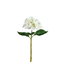 Afbeelding in Gallery-weergave laden, PTMD - Hydrangea Flower Cream hydrangea stem