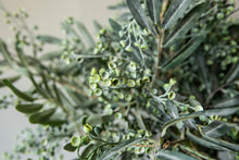 Afbeelding in Gallery-weergave laden, PTMD - Leaves Plant Dark Green seeded eucalyptus spray