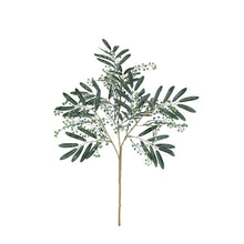 Afbeelding in Gallery-weergave laden, PTMD - Leaves Plant Dark Green seeded eucalyptus spray