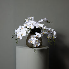 Afbeelding in Gallery-weergave laden, PTMD - Orchid Flower White phalaenopsis plant bush
