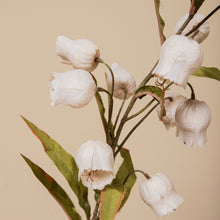 Afbeelding in Gallery-weergave laden, PTMD - Garden Flower Cream sandersonia flower spray