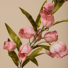 Afbeelding in Gallery-weergave laden, PTMD - Garden Flower Pink sandersonia flower spray