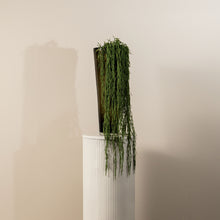 Afbeelding in Gallery-weergave laden, PTMD - Succulent Plant Green hanging strings long