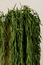 Afbeelding in Gallery-weergave laden, PTMD - Succulent Plant Green hanging strings long