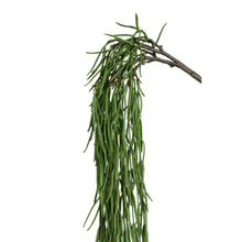 Afbeelding in Gallery-weergave laden, PTMD - Succulent Plant Green hanging strings long
