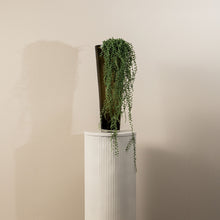 Afbeelding in Gallery-weergave laden, PTMD - Succulent Plant Green hanging pearls long
