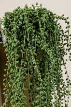 Afbeelding in Gallery-weergave laden, PTMD - Succulent Plant Green hanging pearls long