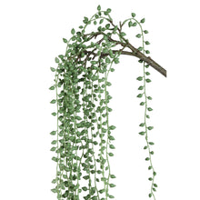 Afbeelding in Gallery-weergave laden, PTMD - Succulent Plant Green hanging pearls long