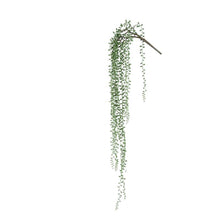 Afbeelding in Gallery-weergave laden, PTMD - Succulent Plant Green hanging pearls long
