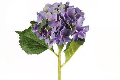 Hydrangea paars-L8B8H46CM