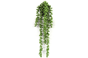Senecio Rowleyanus groen-L43B10H10CM