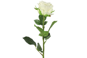 Rosa wit-L8B8H70CM
