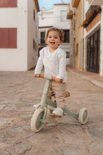 Afbeelding in Gallery-weergave laden, Little Dutch - 4 in 1 Driewieler Met Duwstang - Green Leaf