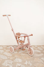 Afbeelding in Gallery-weergave laden, Little Dutch - 4 in 1 Driewieler Met Duwstang - Fairy Floral