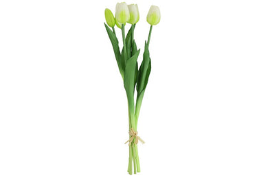Tulipa boeket wit-L10B10H41CM