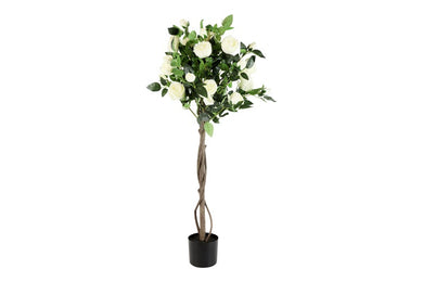 Rosa wit-L58B58H120CM