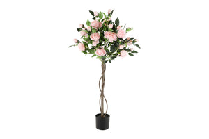 Rosa roze