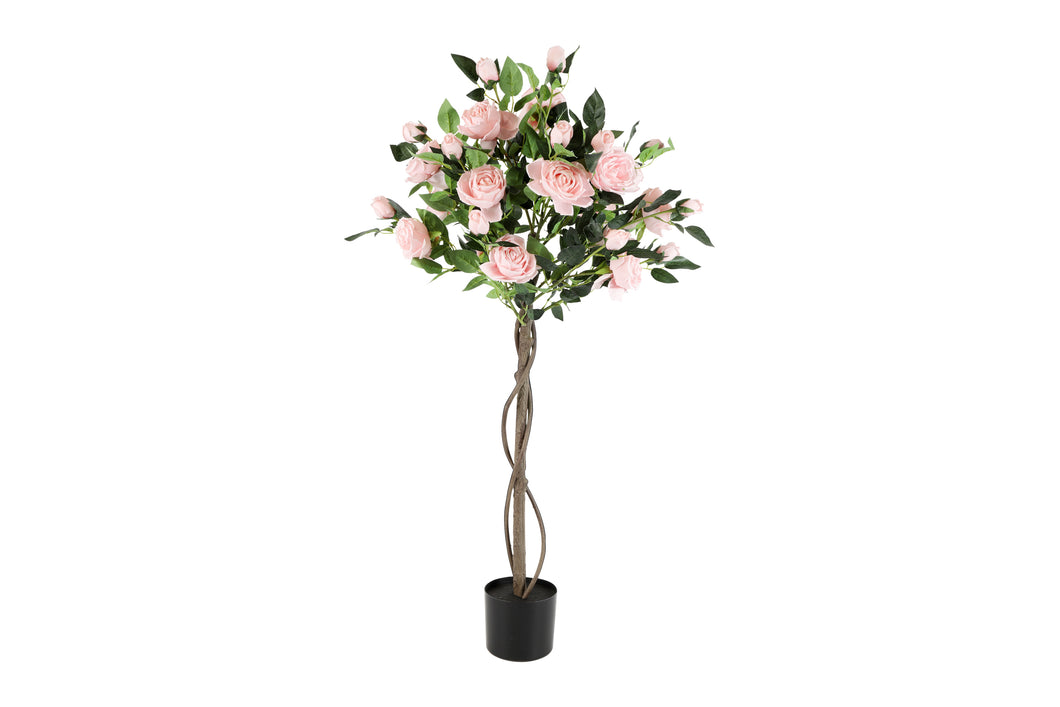 Rosa roze