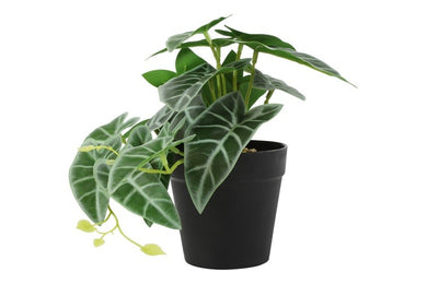 Kunstplant Peperomia groen-L26B22H17CM