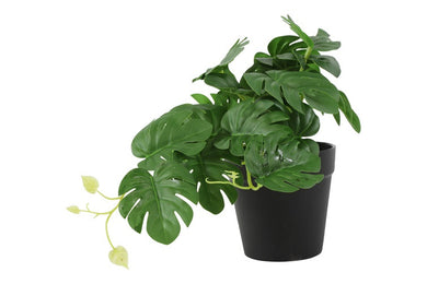 Kunstplant Monstera groen-L26B22H17CM