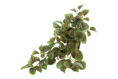Perilla groen-L50B30H23CM