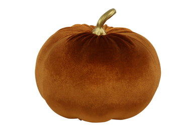 Pompoen ro Pumpa L bruin