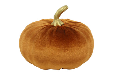 Pompoen ro Pumpa bruin