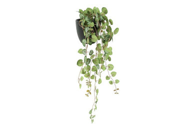 Kunstplant Ceropegia groen-L20B15H50CM