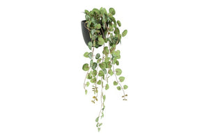 Kunstplant Ceropegia groen-L20B15H50CM