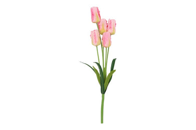 Tulip Darwin boeket roze-L15B15H60CM